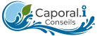 cropped logo caporali conseils 2d