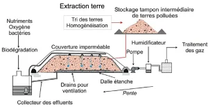 depollution biotertre
