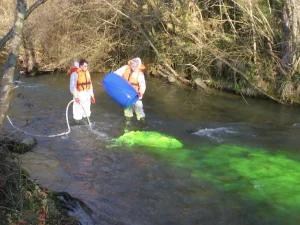 tracage cours d eau deversement colorant traceur 1