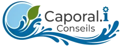 cropped logo caporali conseils 2d