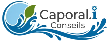 cropped logo caporali conseils 2d