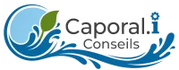 logo caporali conseils 2d